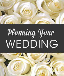 Photo_Planning_Your_Wedding_Strictly_Business_Lincoln_Nebraska